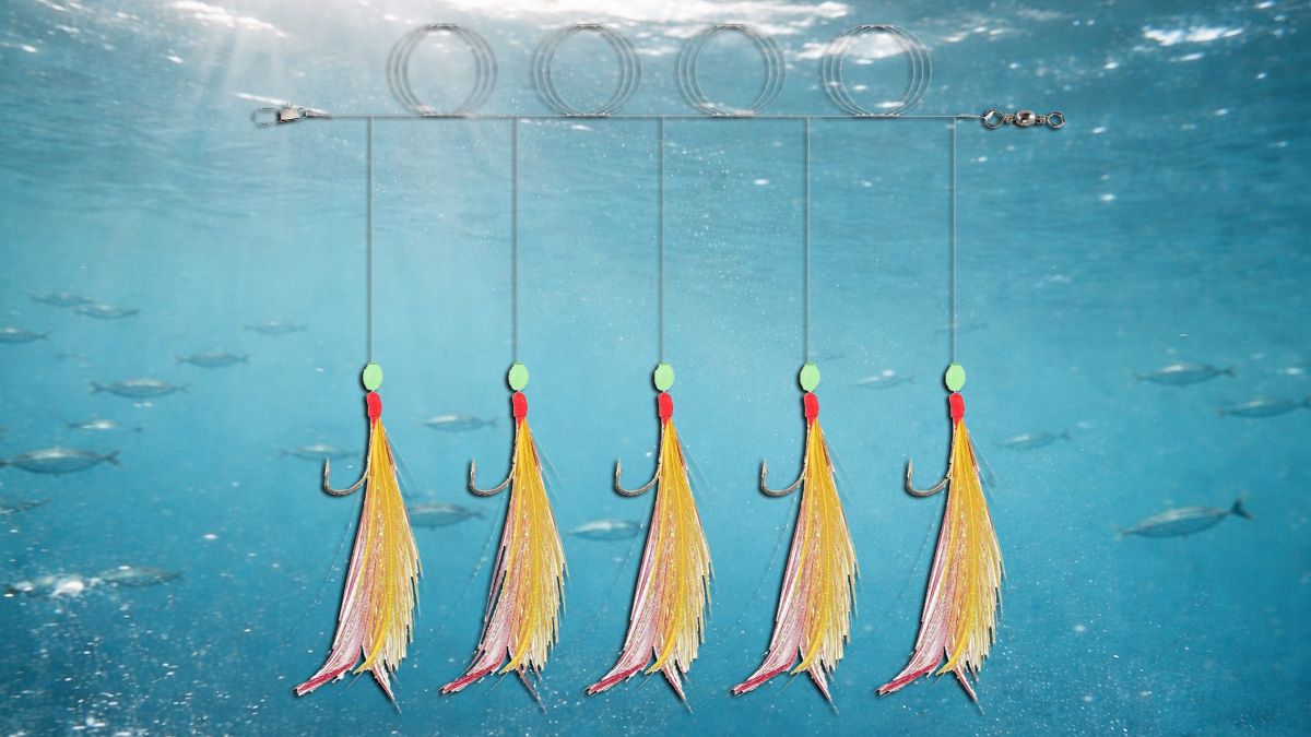 sabiki rig with ocean in the background