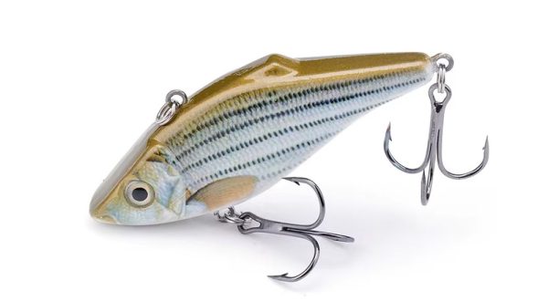 crankbait gold top gray striped pattern body