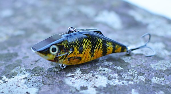 crankbait sunfish style on rock