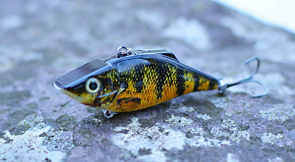 bass dark & yellow looking crankbait on a rock