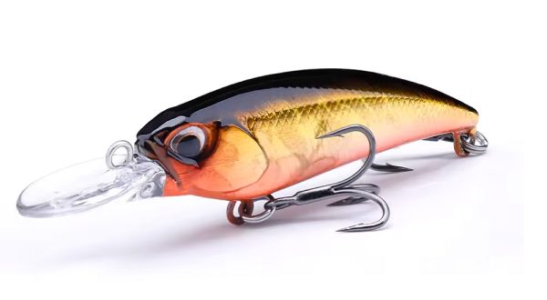 Black top gold body crankbait