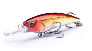 red and gold crankbait