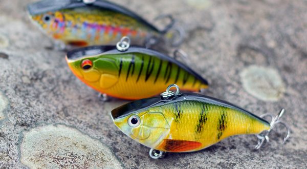 3 crankbaits on a stone