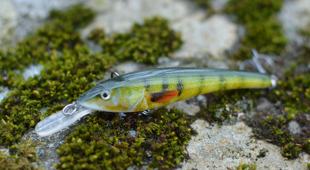 bass looking minnow crankbait on a rock