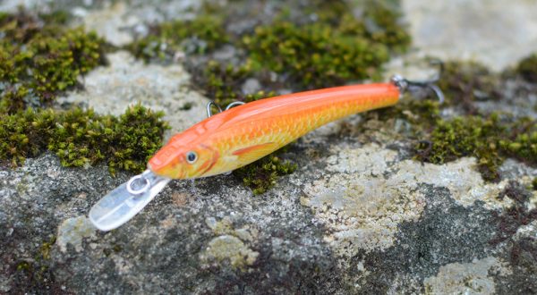 gold color crankbait on moss stone