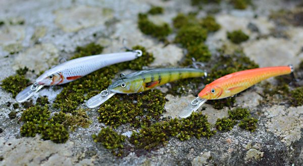 3 crankbaits grey color perch green and gold on moss stone