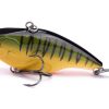orange to green vertical gradient with stripes crankbait